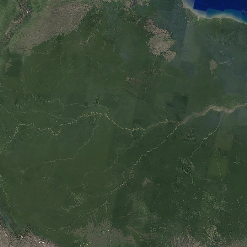 Amazon Rainforest - 225 piece jigsaw puzzle | Nature