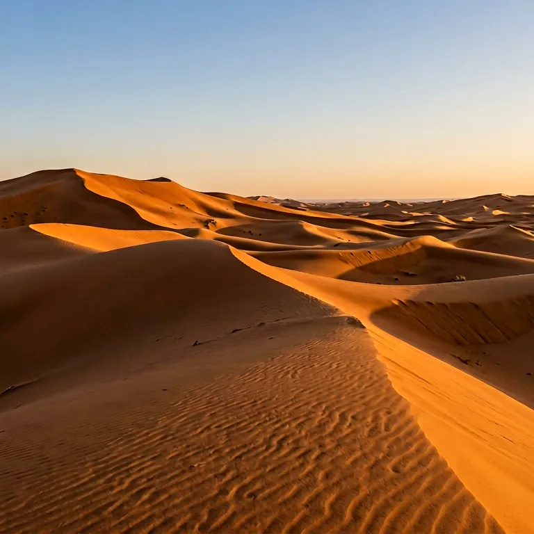 Sahara Desert - 100 piece jigsaw puzzle | Nature