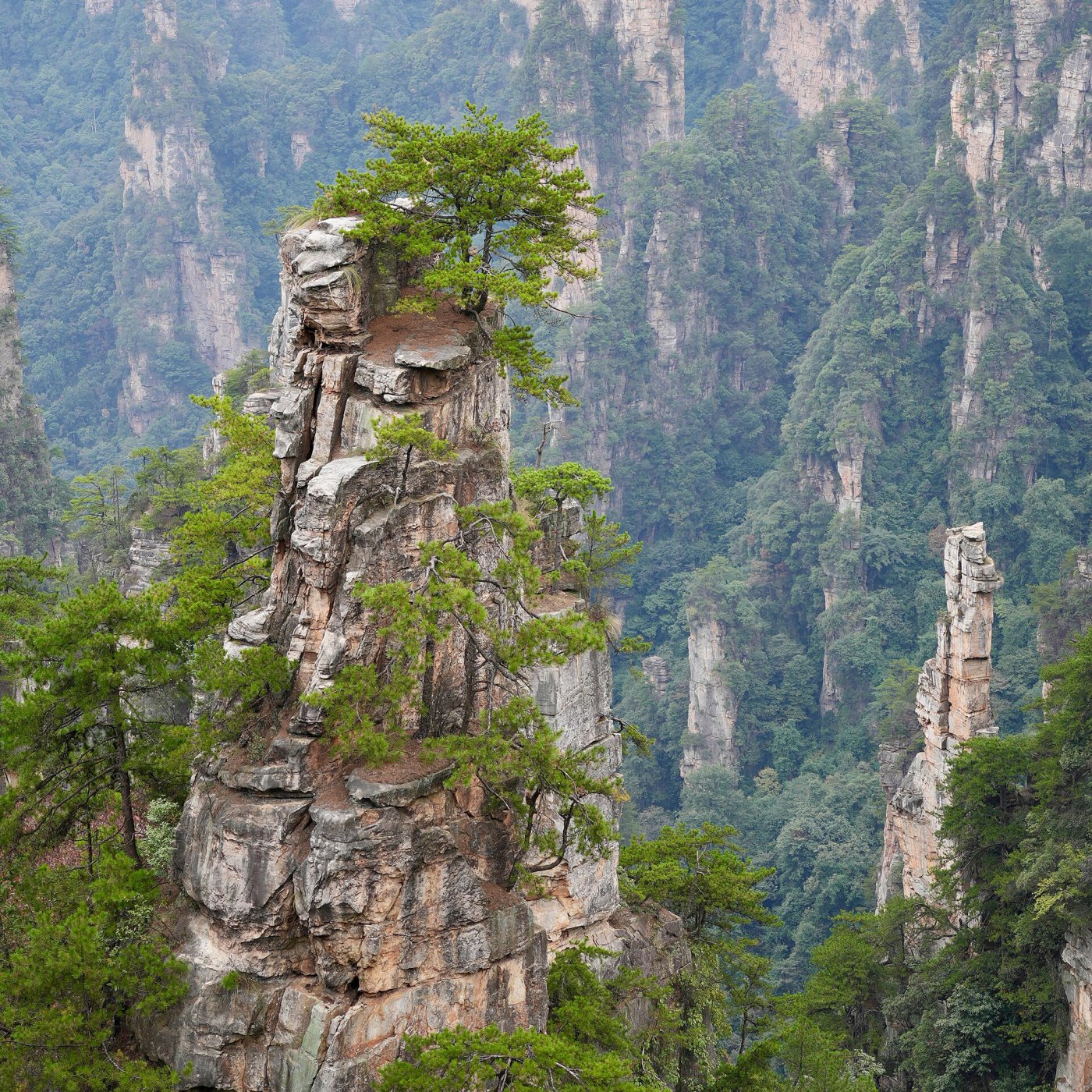 Zhangjiajie Pillars - 500 piece jigsaw puzzle | Nature